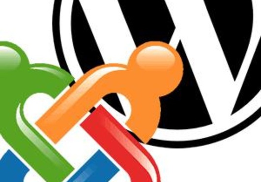 install a CMS website WordPress or Joomla on your Host