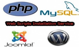 install your Php/MySQL/CGI/Perl or any Scripts on your host